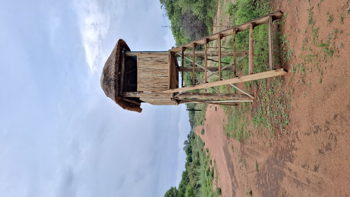 Connection with nature