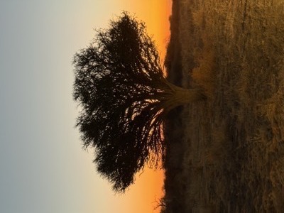 Witgat Game Farm sunset